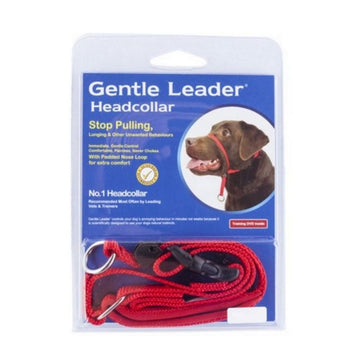 Petsleisure Pet Collars & Harnesses